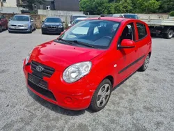 Rot Gebraucht 2010 Kia Picanto Vision Kleinwagen | 1.250 € (Superpreis)