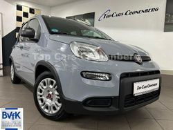Grau Gebraucht 2023 Fiat Panda Kleinwagen | 12.950 € (Fairer Preis)