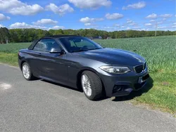 Grau Gebraucht 2015 BMW 220 M Sport Cabrio | 15.999 € (Guter Preis)