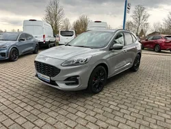 Grau Gebraucht 2024 Ford Kuga SUV | 31.950 € (Superpreis)