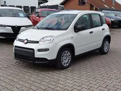 Weiß Neu 2025 Fiat Panda Kleinwagen | 15.989 € (Fairer Preis)