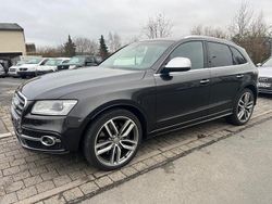 Grau Gebraucht 2016 Audi SQ5 Sport SUV | 18.999 € (Fairer Preis)