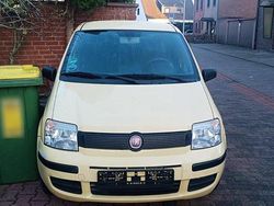 Gelb Gebraucht 2009 Fiat Panda Kleinwagen | 1.800 € (Fairer Preis)
