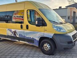 Gelb Gebraucht 2010 Fiat Ducato Van | 6.999 € (Etwas zu teuer)