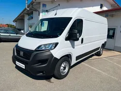 Weiss Gebraucht 2023 Fiat Ducato Van | 33.500 € (Fairer Preis)
