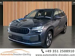 Grau Gebraucht 2024 Skoda Kodiaq Selection SUV | 38.480 € (Fairer Preis)