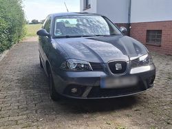Grau Gebraucht 2006 Seat Ibiza Kleinwagen | 1.450 € (Etwas zu teuer)