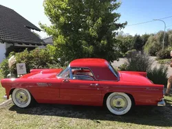 Rot Gebraucht 1955 Ford Thunderbird Cabrio | 30.800 €