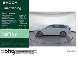 Weiß Gebraucht 2025 Skoda Octavia Tour Kombi | 35.480 € (Fairer Preis)