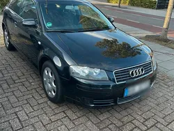 Schwarz Gebraucht 2003 Audi A3 Kleinwagen | 1.799 € (Teuer)