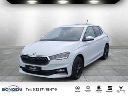 Weiß Neu 2025 Skoda Fabia Selection Limousine | 19.990 € (Fairer Preis)