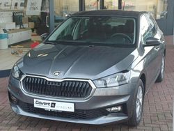 Grau Neu 2025 Skoda Fabia Selection Limousine | 18.190 € (Fairer Preis)