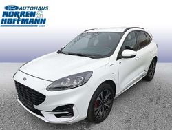 Frostweiß Gebraucht 2021 Ford Kuga ST-Line SUV | 24.980 € (Etwas zu teuer)