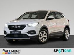 Weiss Gebraucht 2020 Opel Grandland X Innovation SUV | 29.990 €