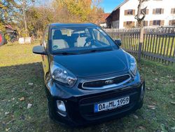 Schwarz Gebraucht 2016 Kia Picanto Kleinwagen | 4.200 € (Fairer Preis)