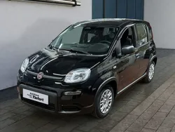 Schwarz Gebraucht 2024 Fiat Panda Kleinwagen | 15.290 € (Fairer Preis)