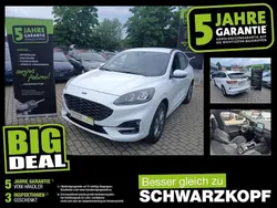 Frostweiß Gebraucht 2021 Ford Kuga SUV | 19.870 € (Guter Preis)