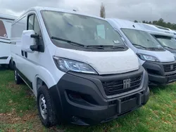 Colore esterno (weiss (pastell)) Gebraucht 2023 Fiat Ducato Van | 29.990 € (Guter Preis)