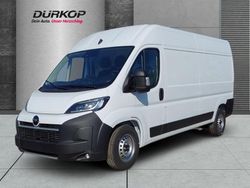 Cassablanca weiß Gebraucht 2024 Opel Movano Van | 34.839 € (Fairer Preis)