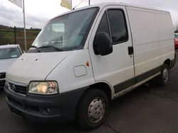 Weiß Gebraucht 2006 Fiat Ducato Dynamic Van | 2.450 € (Fairer Preis)