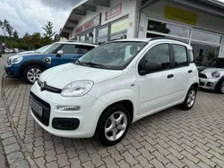 Colore esterno (weiss) Gebraucht 2014 Fiat Panda Pop Kleinwagen | 4.900 € (Fairer Preis)