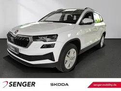 Weiß Gebraucht 2024 Skoda Karoq Selection SUV | 39.990 € (Teuer)