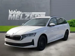Weiß Neu 2025 Skoda Octavia Essence Kombi | 26.880 € (Fairer Preis)