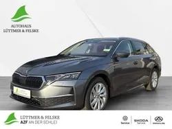 Grau Gebraucht 2024 Skoda Octavia Selection Kombi | 31.790 € (Guter Preis)