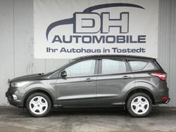 Grau Gebraucht 2018 Ford Kuga Trend SUV | 11.990 € (Guter Preis)