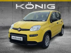 Gelb Gebraucht 2024 Fiat Panda Kleinwagen | 14.589 € (Fairer Preis)