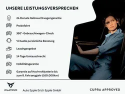 Grau Gebraucht 2022 Cupra Ateca SUV | 33.490 € (Guter Preis)