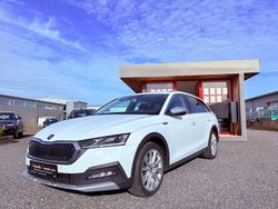 Weiß Gebraucht 2021 Skoda Octavia First Edition Kombi | 25.499 € (Guter Preis)