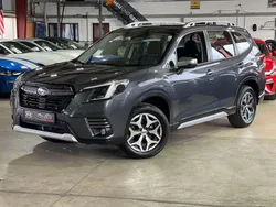 Grau Gebraucht 2024 Subaru Forester SUV | 36.450 € (Fairer Preis)