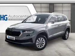 Stahlgrau Neu 2025 Skoda Karoq SUV | 33.390 € (Guter Preis)