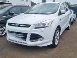 Weiß Gebraucht 2014 Ford Kuga SUV | 15.000 € (Teuer)