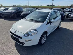 Weiß Gebraucht 2013 Fiat Punto Kleinwagen | 4.990 € (Fairer Preis)