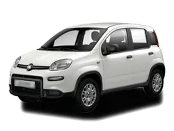 Weiss Neu 2025 Fiat Panda Kleinwagen | 20.949 €