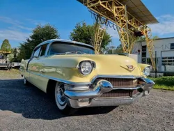 Gelb Gebraucht 1956 Cadillac Fleetwood Limousine | 19.500 €