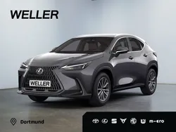 Grau Neu 2024 Lexus NX350h Executive Line SUV | 67.900 € (Teuer)