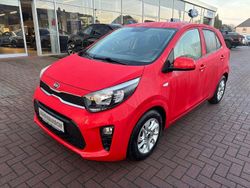 Rot Gebraucht 2017 Kia Picanto DREAM-TEAM Edition Kleinwagen | 8.890 € (Fairer Preis)