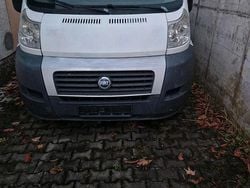 Weiß Gebraucht 2006 Fiat Ducato Van | 3.800 €