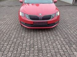 Rot Gebraucht 2017 Skoda Octavia Drive Kombi | 8.500 € (Superpreis)