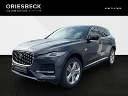 Carpathian grey Gebraucht 2021 Jaguar F-Pace S SUV | 45.880 € (Etwas zu teuer)