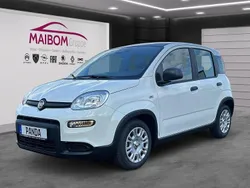 Weiß Neu 2024 Fiat Panda Kleinwagen | 15.990 € (Fairer Preis)