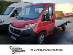 Rot Gebraucht 2019 Fiat Ducato Van | 39.990 €