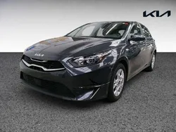 Grau Gebraucht 2024 Kia Ceed Comfort Limousine | 21.999 € (Superpreis)