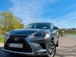 Grau Gebraucht 2020 Lexus NX300h SUV | 26.400 €