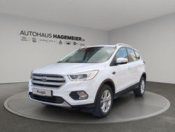 Frost weiß Gebraucht 2019 Ford Kuga Titanium SUV | 15.650 € (Fairer Preis)