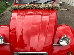 Rot Gebraucht 1983 Citroën 2CV Cabrio | 9.999 €