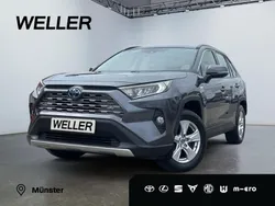 Grau Gebraucht 2019 Toyota RAV4 Hybrid Business Edition SUV | 26.990 € (Fairer Preis)